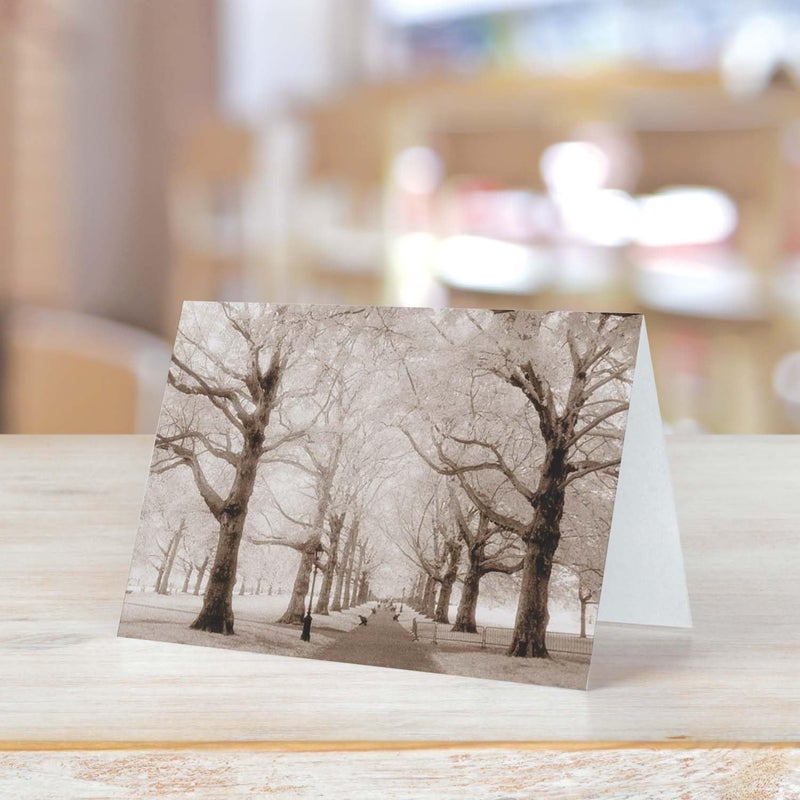 Canopy Street Breathtaking Landscape Note Card Pack / 36 Nature All Occasion Greeting Cards With White Envelopes Set / 6 Colorful Outdoor Scenery Designs / 3 1/2" x 4 7/8" All Occasion Sympathy Cards - Image 3